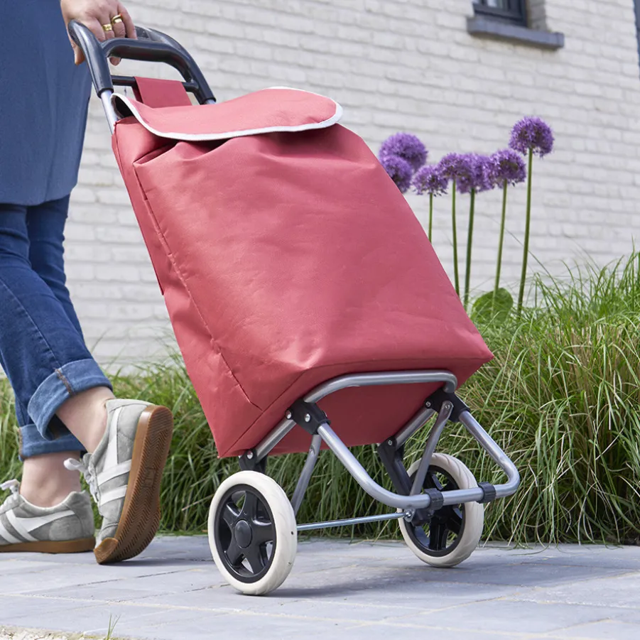 Shop Chariot de courses avec 2 sacs interchangeables Panier De Rangement